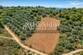 Grundstück 8 000 m² Nea Roda, Griechenland