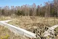 Atterrir  Lieninski sielski Saviet, Bélarus