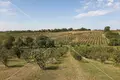 Działki 73 000 m² Opcina Koncanica, Chorwacja