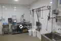 Propriété commerciale 234 m² à Tapioszecso, Hongrie