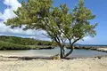 Apartamento  Honduras, Honduras
