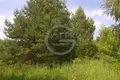Land  Nikonovskoye, Russia