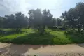 Land  Drapanos, Greece