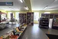 Gewerbefläche 701 m² Kedahnen, Litauen