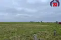 Grundstück  Smilavicki sielski Saviet, Belarus