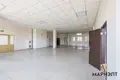Shop 2 rooms 221 m² in Vialikaje Sciklieva, Belarus