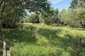 Haus 50 m² Dzitvianski sielski Saviet, Belarus