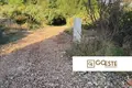 Земельные участки  Opcina Dezanovac, Хорватия