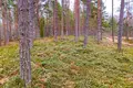 Parcelas 8 600 m² Mersraga pagasts, Letonia