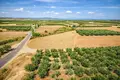Land 3 500 m² Nea Triglia, Greece