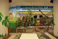 Apartamento vacacional Diamond con piscina en Vlora, Albania.
