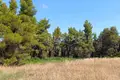 Land 12 000 m² Kassandra Municipality, Greece