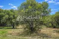 Atterrir 9 063 m² Chaniotis, Grèce