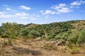 Atterrir 11 000 m² Megali Panagia, Grèce