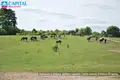 Grundstück  Riese, Litauen