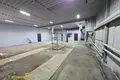 Nieruchomości komercyjne 222 m² w Mińsk, Białoruś