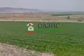 Gewerbefläche 12 000 m² Tankovo, Bulgarien