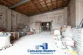 Produktion 1 246 m² Staroje Sialo, Belarus