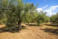 Atterrir 16 728 m² Neos Marmaras, Grèce