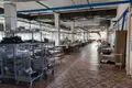 Fabrication 1 000 m² à Orcha, Bélarus