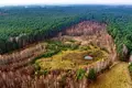 Grundstück 6 536 m² Gizalki, Polen