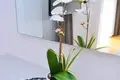 Maison 15 chambres 641 m² Grad Opatija, Croatie