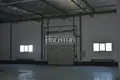 Commercial property 2 250 m² in Pikalyovo, Russia