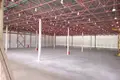 Entrepôt 7 250 m² à Novoselki, Russie