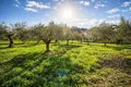 Atterrir 2 800 m² Kassandrino, Grèce