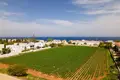 Lokale gastronomiczne  Paralimni, Cypr