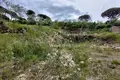 Land  Lustica, Montenegro
