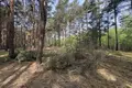 Grundstück 6 536 m² Gizalki, Polen