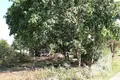 Parcelas 22 m² Muchaviecki sielski Saviet, Belarús