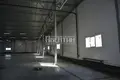 Commercial property 2 250 m² in Pikalyovo, Russia
