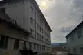 Commercial property 4 000 m² in Deliatyn, Ukraine