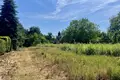 Land 2 392 m² Puszczykowo, Poland