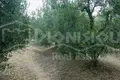 Atterrir 840 m² Psakoudia, Grèce