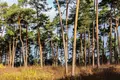 Дом 6 комнат 1 200 м² Юрмала, Латвия