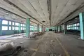 Produktion 3 000 m² in Minsk, Belarus