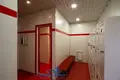 Commercial property 126 m² in Minsk, Belarus