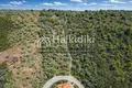Land 10 000 m² Pyrgadikia, Greece