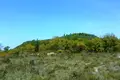 Działki 1 pokój 9 375 m² Pelekas, Grecja