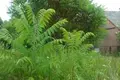 Land 1 room 7 050 m² Otwock, Poland