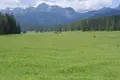 Grundstück  Zabljak, Montenegro