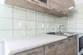 Mieszkanie 2 pokoi 63 m² okres Usti nad Labem, Czechy