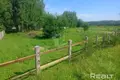Parcelas  Krasnienski sielski Saviet, Belarús