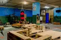 Manufacture 1 077 m² in Michanavicki sielski Saviet, Belarus