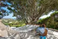 Willa 10 pokojów 600 m² Porto Cervo, Włochy
