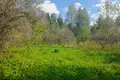 Land  Nikolskoe, Russia