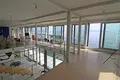 3 bedroom villa 600 m² Grad Rijeka, Croatia